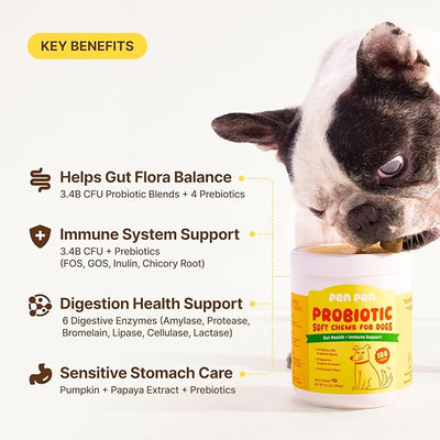 PENPEN Probiotics for Dogs, Dogs Probiotics for Digestive Health, Multi-Probiotic and Enzyme Blend Promote Gut Health & Immune Support, Eases Sensitive Stomachs - Beef Flavor, 180 Soft Chews