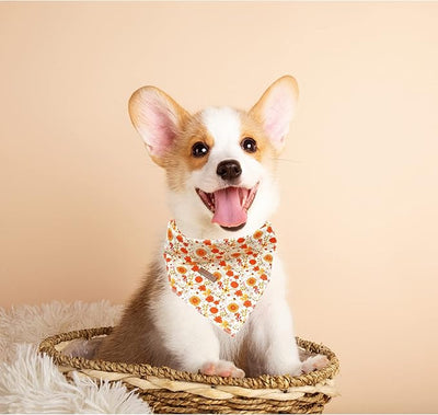 Lionheart glory Pumpkin Dog Bandana - 1 Pack Washable Soft Dog Scarf, Square Adjustable Girl or Boy Scarf for Medium-Large Dogs
