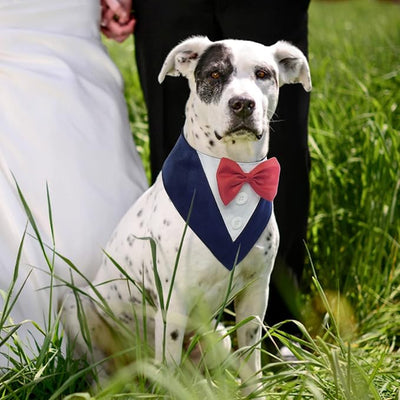 FUAMEY Dog Tuxedo for Large Dogs,Dog Formal Suit Dogs Attire Pet Bow Tie Puppy Party Costumes Cat Tux Outfits Pets Bandana Cosplay Adjustable Bowties Wedding Birthday Valentines Blue XL