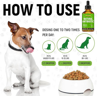 Dog Antibiotics for Infections, Kennel Cough, Wounds, UTIs, Allergies, Itching – Natural Antibiotics for Cats to Support Skin, Coat, & Digestion – Liquid Form for Oral Use – All Pet Ages – 2 oz