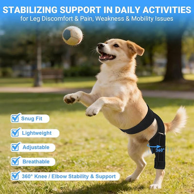 Dog Knee Brace for Back Leg, Adjustable Elbow Braces with Stabilizers, Canine Joint Support for Torn ACL, Luxating Patella, Arthritis, Ligament Injury and Post-Surgery Recovery, Universal (M)