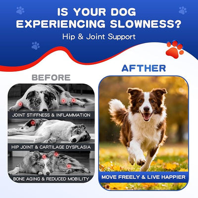 Hip and Joint Supplement for Dogs, Glucosamine for Dogs with MSM, Chondroitin, Dog Joints Supplement Supports Mobility & Joint Pain Relief, Liver Flavored Soft Chews Fit All Breeds & Sizes - 150Ct