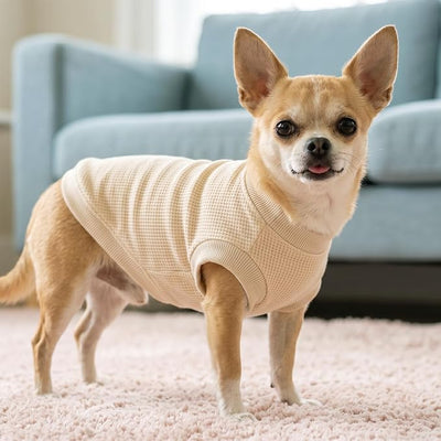 1 Pack Dog Shirt for Small Supplies Functional Waffle Dog Clothes Warm Soft Sweatshirt Outfit for Dogs Cats Pet Apparel