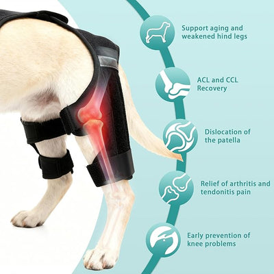 Dog Knee Braces for Torn ACL Hind Leg, Adjustable Dog Leg Braces for Back Leg with 4 Stabilizers for Luxating Patella Relieves Ligament Injury and Joint Pains
