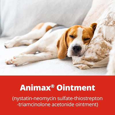 Animax® Ointment (nystatin-neomycin sulfate-thiostrepton-triamcinolone acetonide Ointment) 7.5 mL Tube for Dogs and Cats