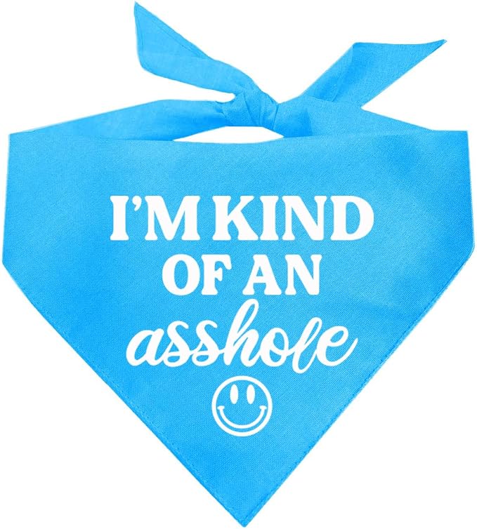 I'm Kind of an A (Problem) Dog Bandana | 100% Cotton Adjustable Triangle | Made in USA | Do Not Pet | Funny Warning for Reactive or Moody Dogs |Turquoise, X-Small (31)