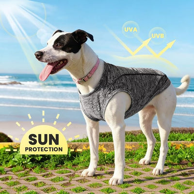 PETCARE Sun Protection Dog Shirts for Small Dogs Quick Dry Soft Stretchy Dog T-Shirts with Reflective Label Tank Top Sleeveless Vest Pet Clothes, Athletic Fabric, Black, XS (Chest 13" Length 9.8")