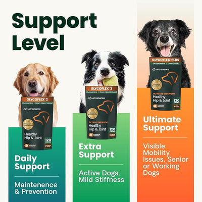 VetriScience Ultimate Strength Healthy Hip & Joint Chews, GlycoFlex Glucosamine, Chondroitin and Green-Lipped Mussel Joint Support Supplement for Dogs, Soothe Discomfort, Bacon, 60 Chews