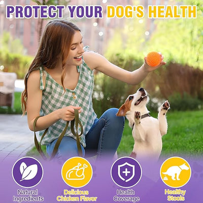 Dog Anal Gland Soft Chews 150 Stop Scoot for Dogs Supports Anal Gland Bowel Function Digestive Health Fiber Pumpkin Supplement for Dogs Pet Diarrhea Bowel Support Probiotics Digestive (Chicken Flavor)