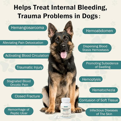 Blood Support for Dogs, Yunnan Sanqi Capsules for Dogs for Hemangiosarcoma, Hemoabdomen, Pericardial Effusion, Cancer Bleeding, Severe Bruising, Ulcer-Related Bleeding, Bloody Stools - 60 Capsules