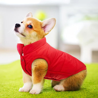 Syhood 2 Pieces Dog Jacket 2 Layers Fleece Lined Dog Jacket Warm Soft Windproof Small Pet Coat for Winter Cold Weather(S,Navy,Red)
