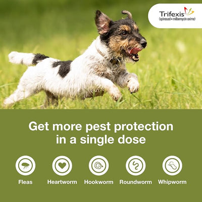 Trifexis Heartworm Prevention | Treats & Controls Flea Infestations + 4 Other Worms | Dogs 10.1-20 lbs. | 6 Chewables