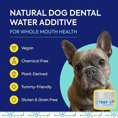 TEEF for Life Protektin42 Prebiotic Dog Dental Powder Refill - 90 Servings (3 Packets) Tasteless Natural Water Additive for Dogs, Teeth Cleaning, Bad Breath, Tartar & Plaque Remover, 4-Ingredients
