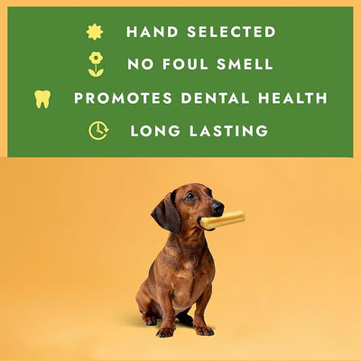 William Hunter Yak Cheese Himalayan Dog Chews - Long Lasting 100% Natural High Protein Dental Dog Chews for Aggressive Chewers (5 Pack Small)