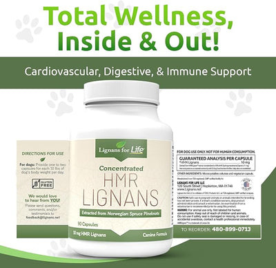 Lignans For Life HMR LIGNANS 10mg Capsules - Perfect for Small Dog Breeds - Vitamin for Healthy Pet | Multivitamin | Wellness Supplement | Nutritional