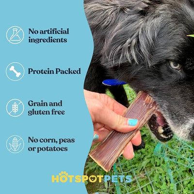 hotspot pets Beef Esophagus Dog Treats (6 INCHES - 25 Count) Grass Fed with No Added Hormone, All Natural Jerky Dog Treats - Dog Chews Rich in Glucosamine & Chondroitin for Joint Health
