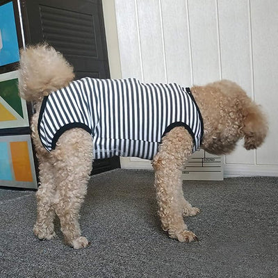 Dog’s Recovery Suit Post Surgery Shirt for Puppy, Wound Protective Clothes for Little Animals(Black White Stripe-xs)