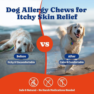 Dog Allergy Relief Chews – 70 Soft Chews, Turkey & Pumpkin Flavor - Immune Support & Itch Relief with Colostrum, Astragalus Root, 6-Strain Gut Health Blend