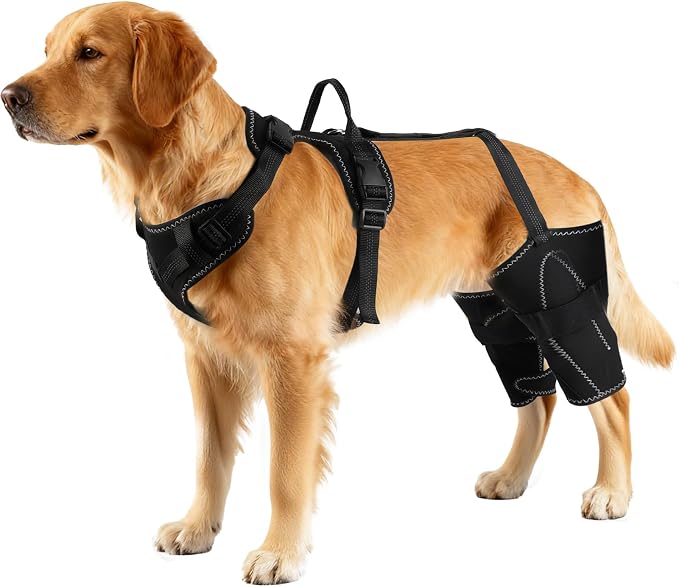 Vivifying Dog Hip & Leg Support Harness for Mobility Assistance, Adjustable Rear Leg Brace with Lift Handle for Injured or Senior Dogs, Joint Stabilizing Hind Leg Support for Walking, Recovery (XL)