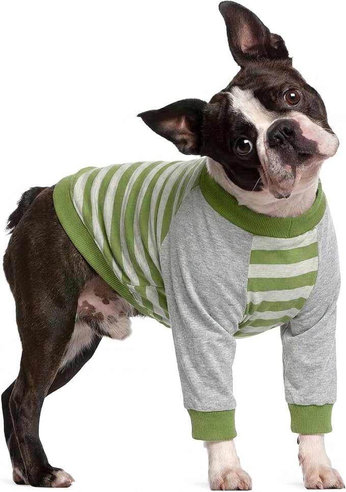 FUAMEY Dog Recovery Sleeve with Elbow Protector,Dogs Shirt Stop Licking Joints,Pet Long Sleeve Suit Protecting Dog's Front Leg Arm Wounds Cover Skin Conditions Green Stripes S
