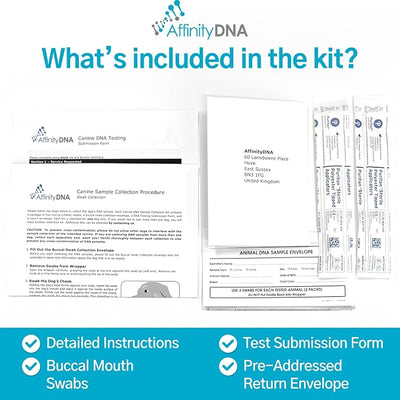 Dog von Willebrand DNA Test for von Willebrand’s Disease Type I (vWD I) | Home Sample Collection Kit for 1 Canine| Puppy vWD I Testing Kits | Results in 7 Working Days with No Extra Fees