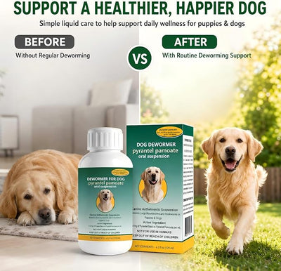 Dog Dewormer Liquid – Pyrantel Pamoate Formula for Roundworms & Hookworms Support, Fits for Dogs, 120 mL (4.2 fl oz)