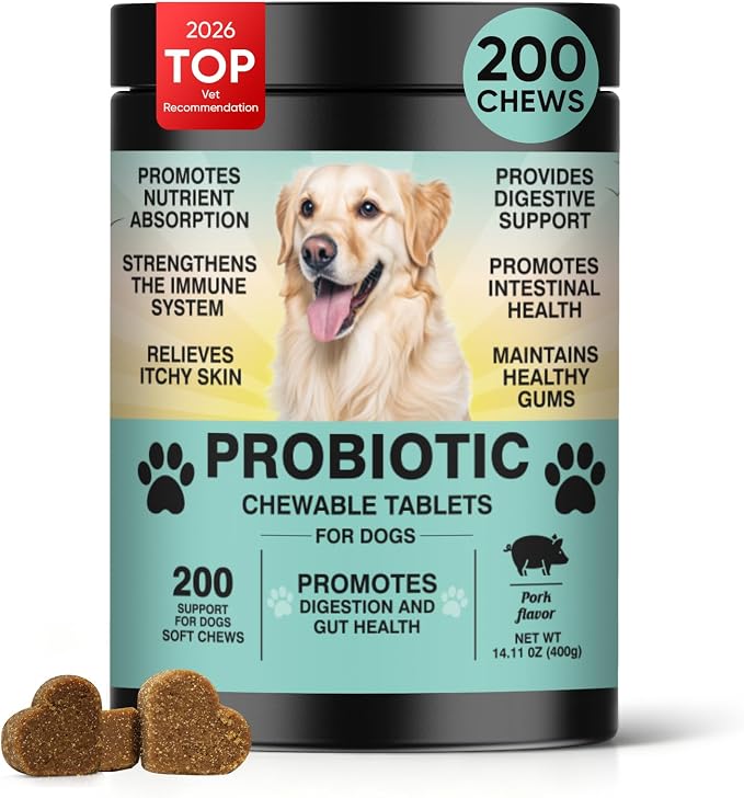 Probiotics for Dogs Gut Digestive Health Probiotic Chews for Dogs Digestive Enzymes Relieve Diarrhea Immunity Oral Problems Itching Constipation Prebiotics Dog Probiotics 200 Ct Pork