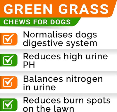StrellaLab Dog Probiotics Treats for Picky Eaters (180ct) - Digestive Enzymes + Prebiotics - Chewable Fiber Supplement - Allergy, Diarrhea, Gas, Constipation, Upset Stomach Relief - Digestion&Immunity