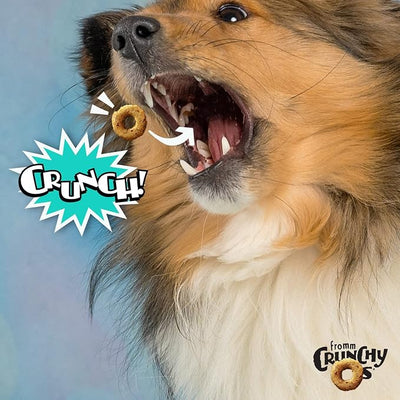 Fromm Crunchy Os Banana Kablammas Dog Treats - Premium Crunchy Dog Treats - Banana Recipe - Pack of (3) 6 oz Bags
