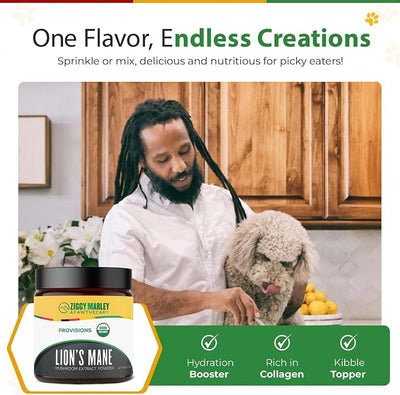 Organic Lions Mane Mushroom Powder for Dogs & Cats – Support Cognition – USDA Organic Fruiting Body Extract, 45 Servings in a Resealable Jar