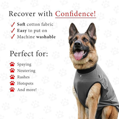 BellyGuard Dog Surgery Recovery Suit, Post-Op Dog Recovery Suit for Female Spay & Male Neuter, Comfy Onesie for Pets, Surgical Body Cover for Canine Healing Support
