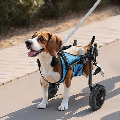 VEVOR Dog Wheelchair for Back Legs, Lightweight 2 Wheels Pet Wheelchair, Height, Width & Length Adjustable, Dog Cart with Shock-Absorbing Wheels, for Injured, Disabled Dogs