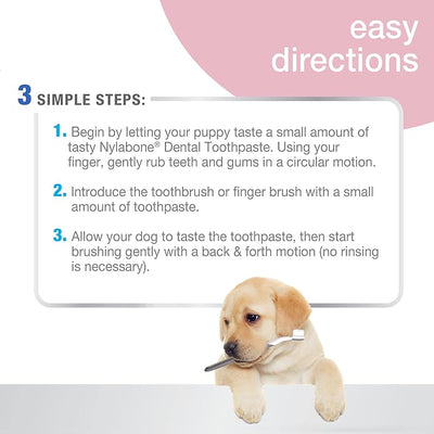 Nylabone Advanced Oral Care Puppy Dental Kit with Pillowy Soft-Bristle Toothbrush Peanut Butter (3 Count)