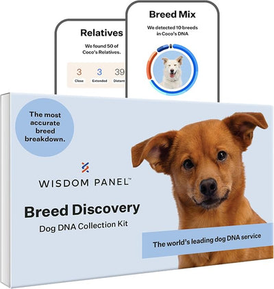 Wisdom Panel Breed Discovery Dog DNA Testing Kit - Most Accurate Dog Breed Identification - Test for 430+ Breeds, MDR1 Health Test, Ancestry, Relatives