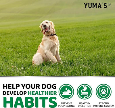 YUMA'S No Poo Chews for Dogs - 170 Treats - Coprophagia & Stool Eating Deterrent for Dogs - Stop Eating Poop for Canine - Probiotics & Digestive Enzymes Supplement - Gut Health - Made in USA