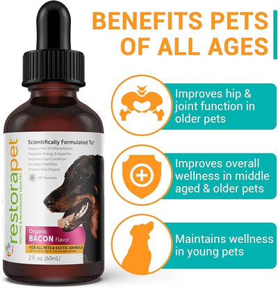 RestoraPet 2-Pack Dog & Cat Bacon Liquid Multivitamin | Dog Arthritis Pain Relief | Hip & Joint Vitamins for Dogs - Anti Inflammatory Supplement for Dogs & Cats | Plant-Based & Non-GMO, Vet Approved