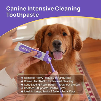 HICC PET 4-Enzymatic Dog Toothpaste - EnzyPlex™ Power Clean Toothpaste for Plaque & Tartar Control - Professional Canine Dental Care for Fresh Breath & Healthy Gums - Beef & Pumpkin Flavor, 2.82 oz