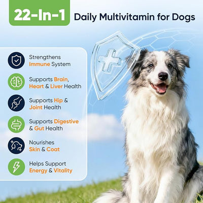22-in-1 Dog Vitamins and Supplements 200 Chews Dog Multivitamin Chewable Containing Omega-3 Quercetin Probiotics Multivitamin for Dogs Beneficial for Joint Skin Coat Immunity Intestinal Digestion