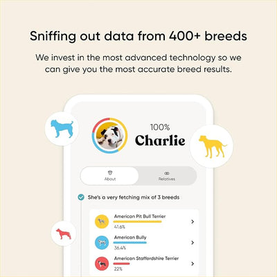 Embark Breed & Health Dog DNA Test - 400+ Breeds, 270+ Health Conditions, Allergy Risk Score, Relatives, and More