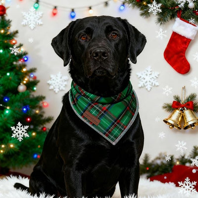 Unique Style Paws Dog Christmas Bandanas 1PC Washable Cotton Triangle Dog Scarfs for Small Medium Large Dogs and Cats-New Green Grid-L
