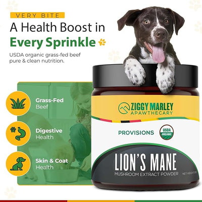 Organic Lions Mane Mushroom Powder for Dogs & Cats – Support Cognition – USDA Organic Fruiting Body Extract, 45 Servings in a Resealable Jar