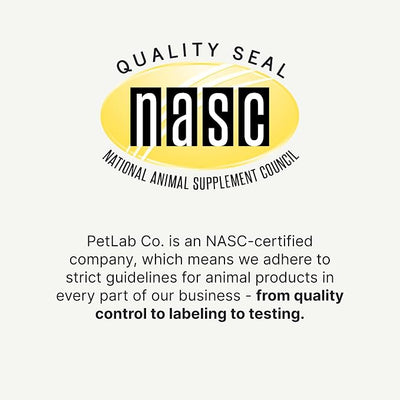 Petlab Co. Joint Care Chews - High Levels of Glucosamine for Dogs, Green Lipped Mussels, Omega 3 and Turmeric - Hip and Joint Supplement to Actively Support Mobility, Pack of 2