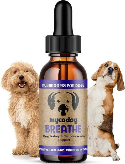 MycoDog Breathe - Respiratory Support Supplement for Dogs - Breathing Comfort & Airway Health - French Bulldogs, Pugs, & Flat-Faced Breeds - Natural Mushroom and Ashwagandha Drops
