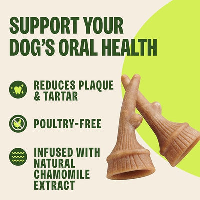 Wellness WHIMZEES Antler Occupy Natural Dog Dental Treat, Chews, Freshens Breath, Medium Size, 12.7 oz Bag, 12 Count