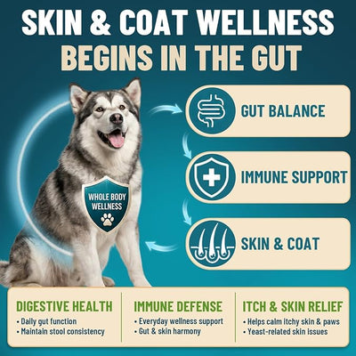 Probiotics for Dogs, 200 Soft Dog Probiotic Chews for Dogs Gut Health Digestive & Immune Support, Dog Probiotics for Yeast Itchy Skin with Digestive Enzymes, Pumpkin, Constipation & Diarrhea Relief
