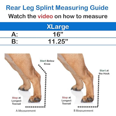 Standard Rear Splint for Dogs with Injuries, Arthritis, Fractures or Sprains, Durable & Lightweight Rear Splints for Rehability Treatment & Post-Surgery Protection for Pets - XL