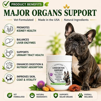 Advanced Liver Support Supplement for Dogs – Milk Thistle, Turmeric, Same & Choline – Liver Detox, Kidney Support, Immunity & Metabolic Boost – Organic Ingredients, Natural Chicken Flavor – 90 Chews