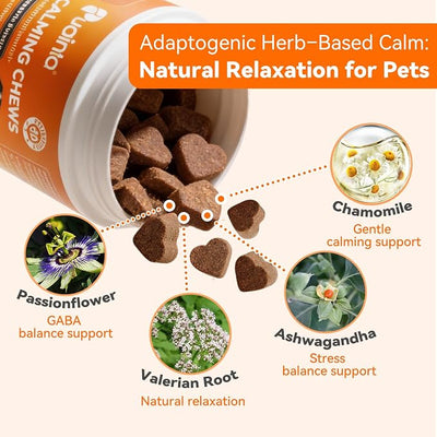 PUAINTA Calming Chews for Dogs, Dog Calming Supplement with Magnesium Glycinate, Melatonin, L-Theanine, L-Tryptophan & Ashwagandha, for Anxiety, Stress, Travel, Separation & Thunderstorms (60 Count)