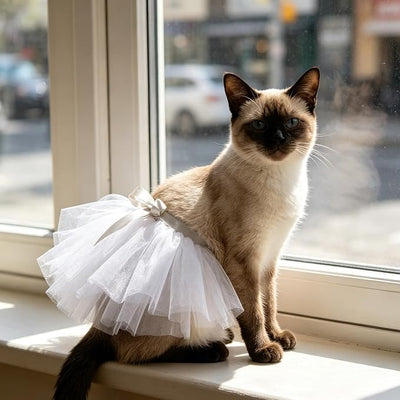 Dog Tutu Tulle Dress for Dogs Small Large Medium Puppy Dress Ballerina Costume Skirt for Holiday Puppy Cats Bunny Pet Outfit 4th of July Party Photo Prop Supplies (White, Large)