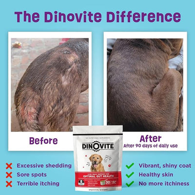 Dinovite Probiotics for Dogs, Probiotic Powder Food Topper for Small Dogs (1-18 lb), Daily Digestive Health & Skin Support with Omega-3s, 30 Servings